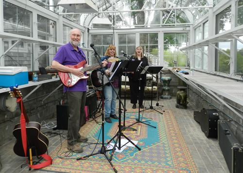 musicians_kafi_500